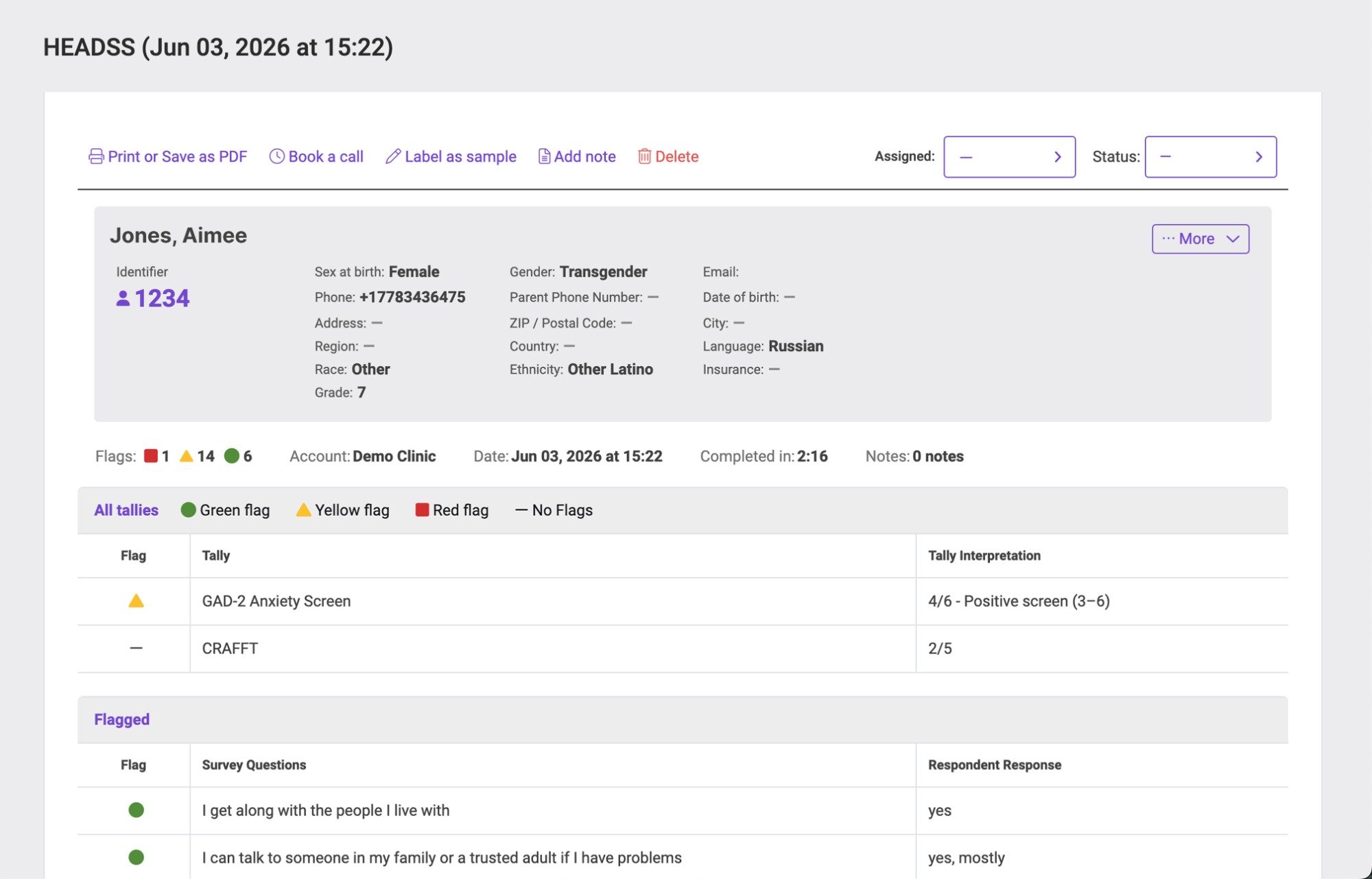 BridgeWell patient management dashboard with safety flags and triage
